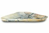 Polished Maligano Jasper Plate - Indonesia #323252-1